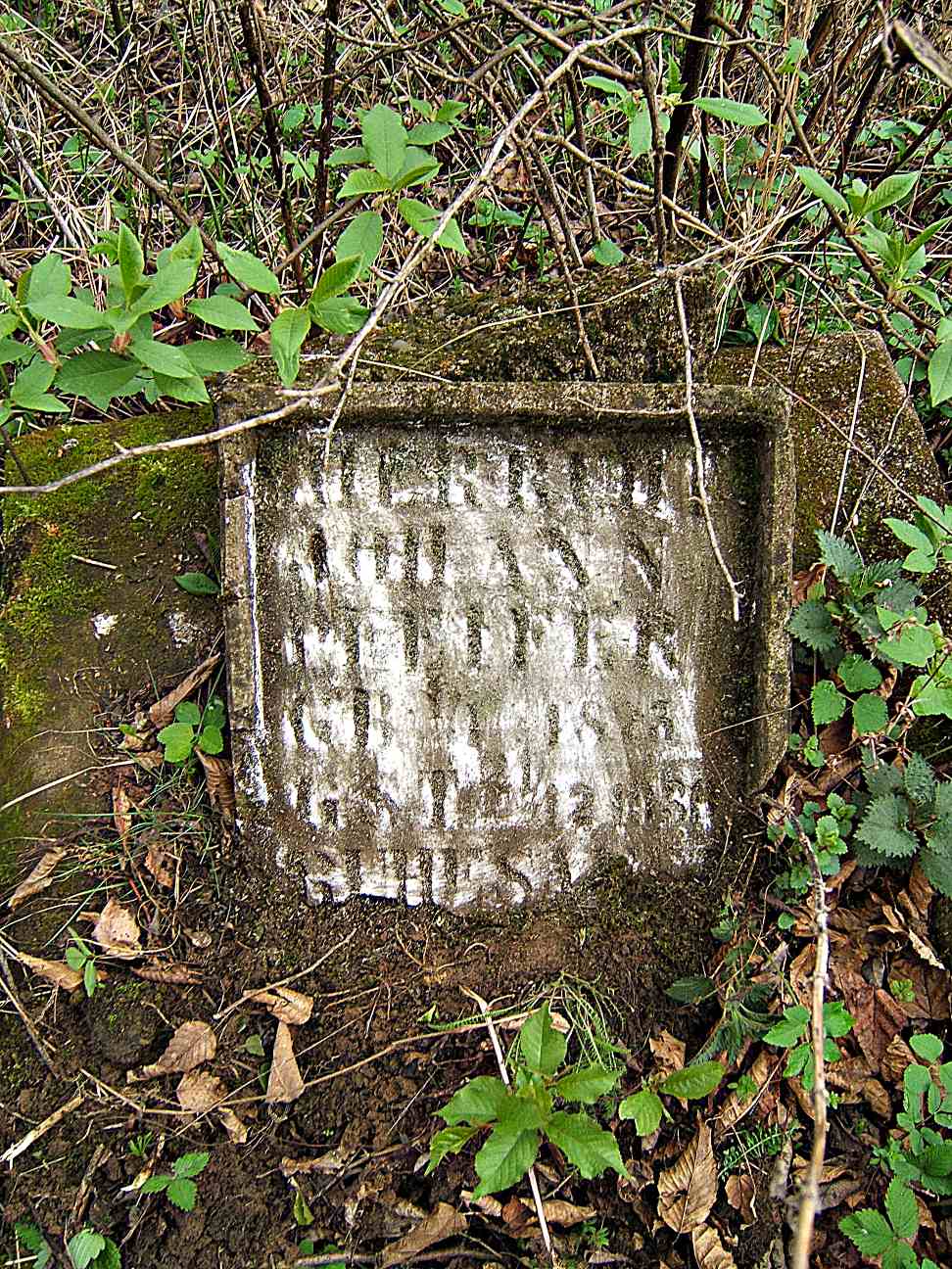 Johann Pfeifer grave marker - Josefsberg X.JPG